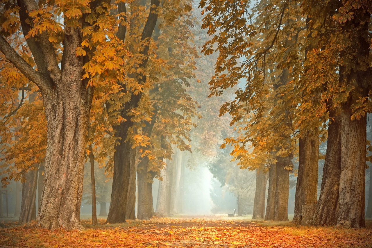 Gezellige herfsttafel met gestapelde boeken